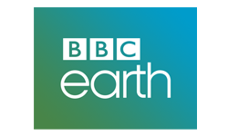 Digiturk İnternetli Sporun Yıldızı kanal4